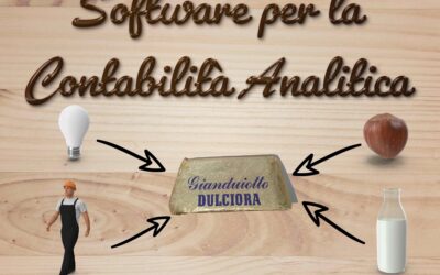 Software per la contabilità analitica